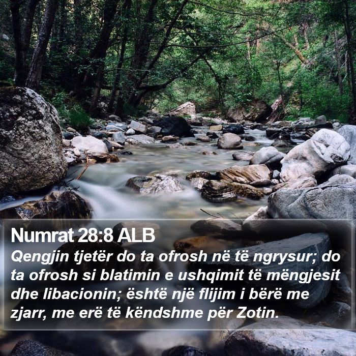 Numrat 28:8 ALB Bible Study