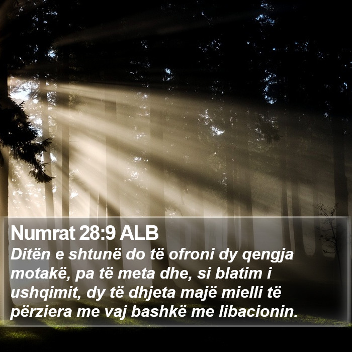 Numrat 28:9 ALB Bible Study