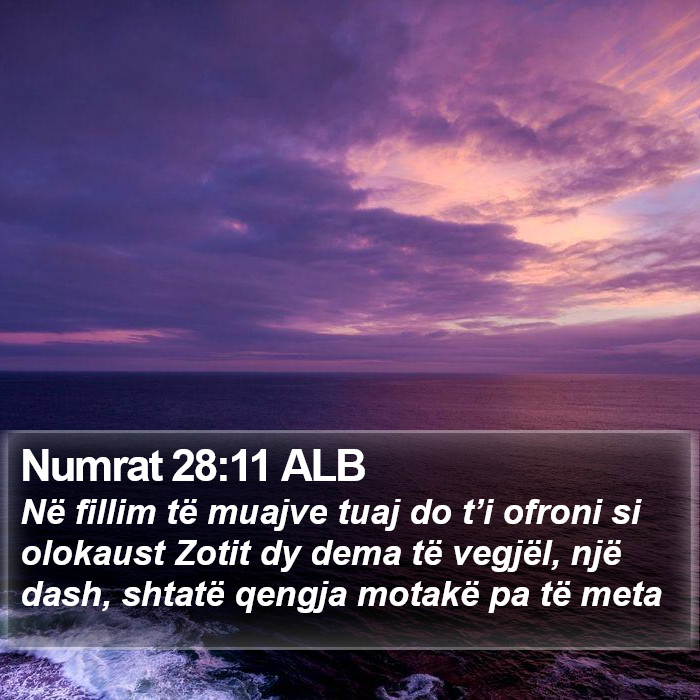 Numrat 28:11 ALB Bible Study