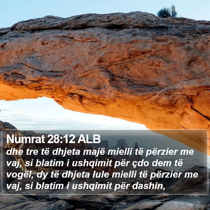 Numrat 28:12 ALB Bible Study