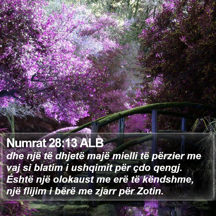 Numrat 28:13 ALB Bible Study