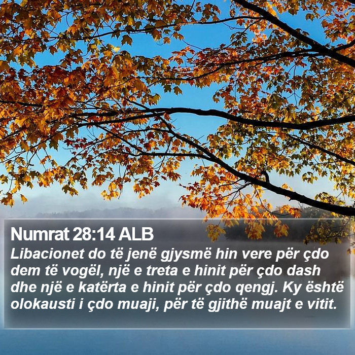 Numrat 28:14 ALB Bible Study