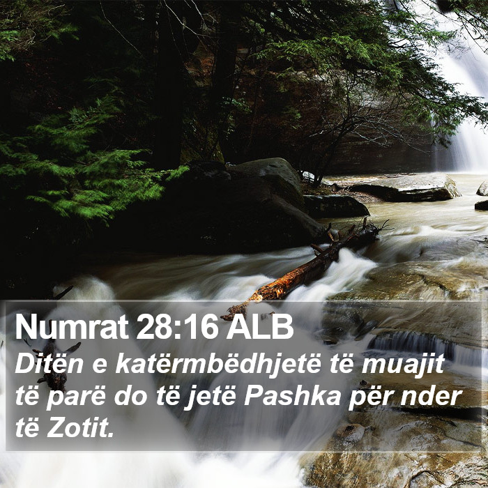 Numrat 28:16 ALB Bible Study