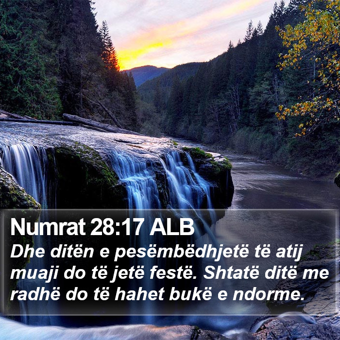 Numrat 28:17 ALB Bible Study