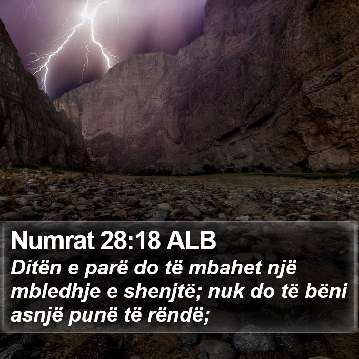 Numrat 28:18 ALB Bible Study