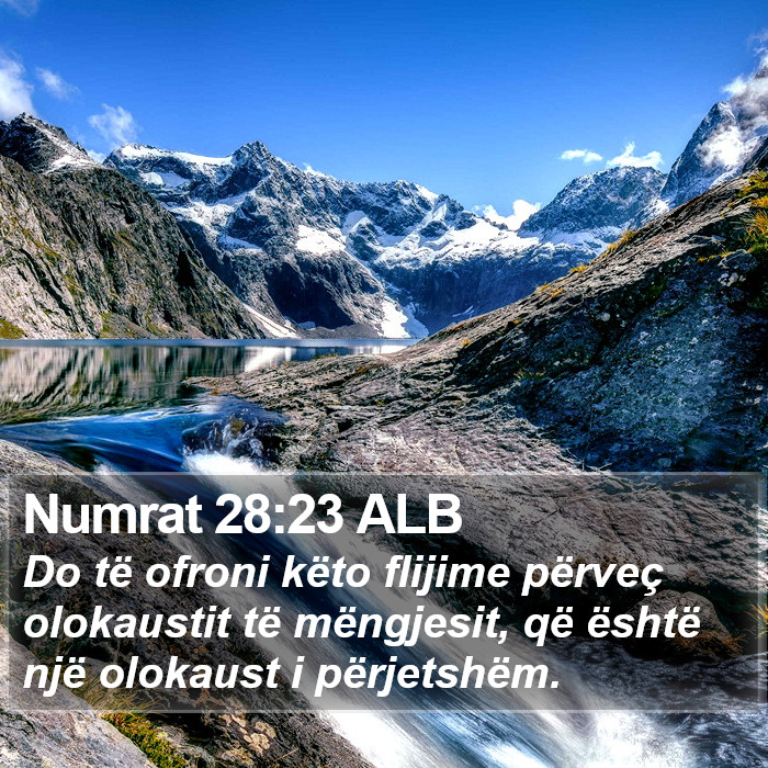 Numrat 28:23 ALB Bible Study