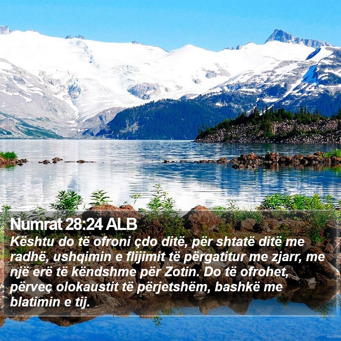 Numrat 28:24 ALB Bible Study