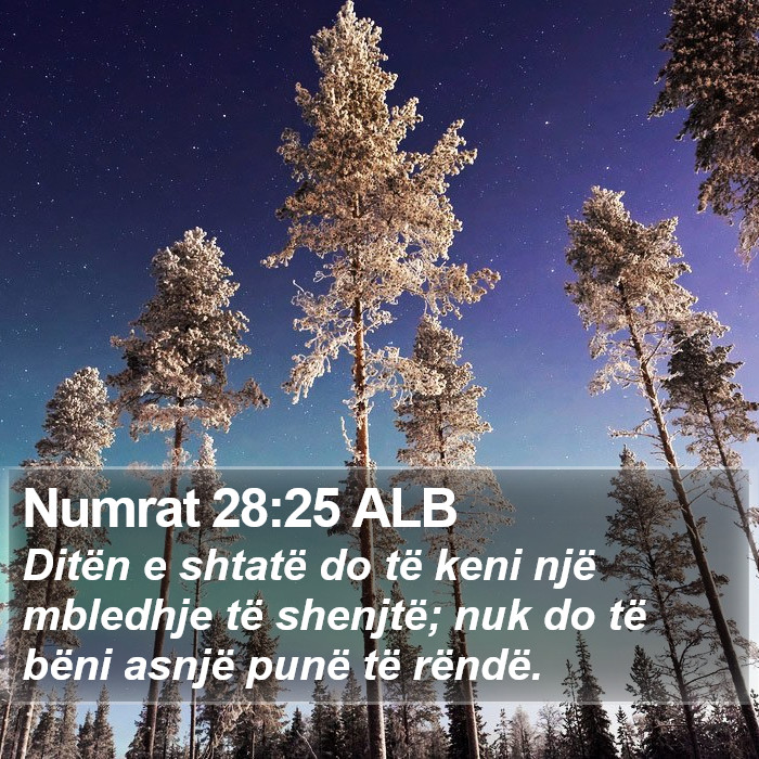 Numrat 28:25 ALB Bible Study