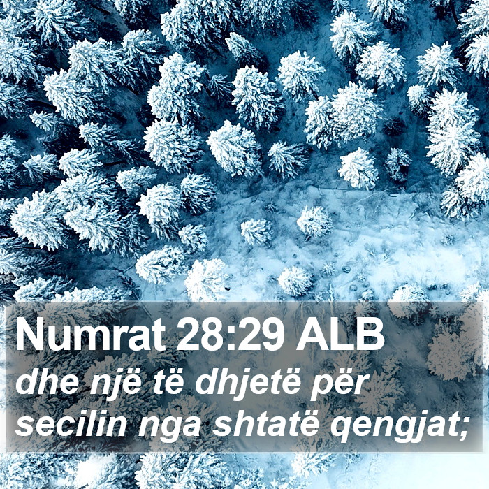 Numrat 28:29 ALB Bible Study