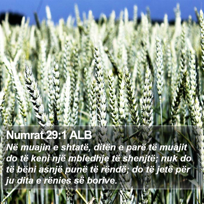 Numrat 29:1 ALB Bible Study