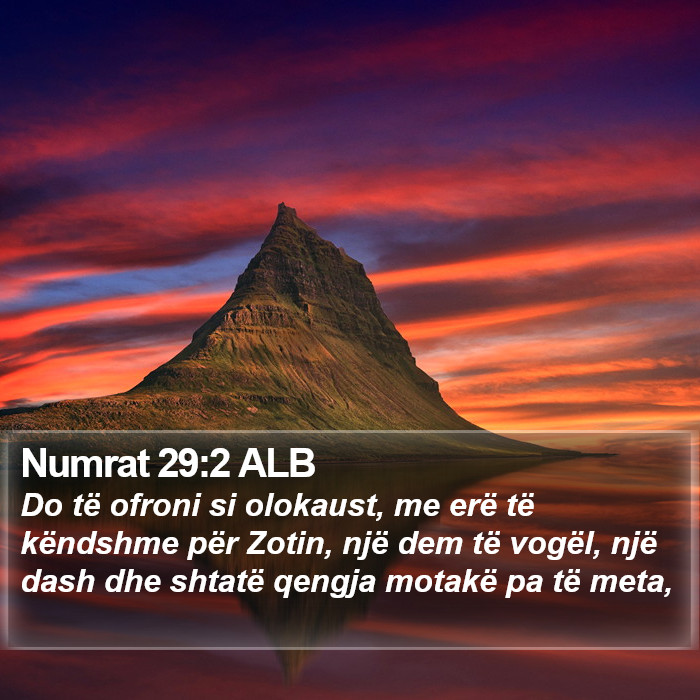 Numrat 29:2 ALB Bible Study