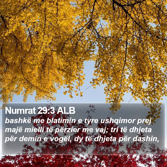 Numrat 29:3 ALB Bible Study