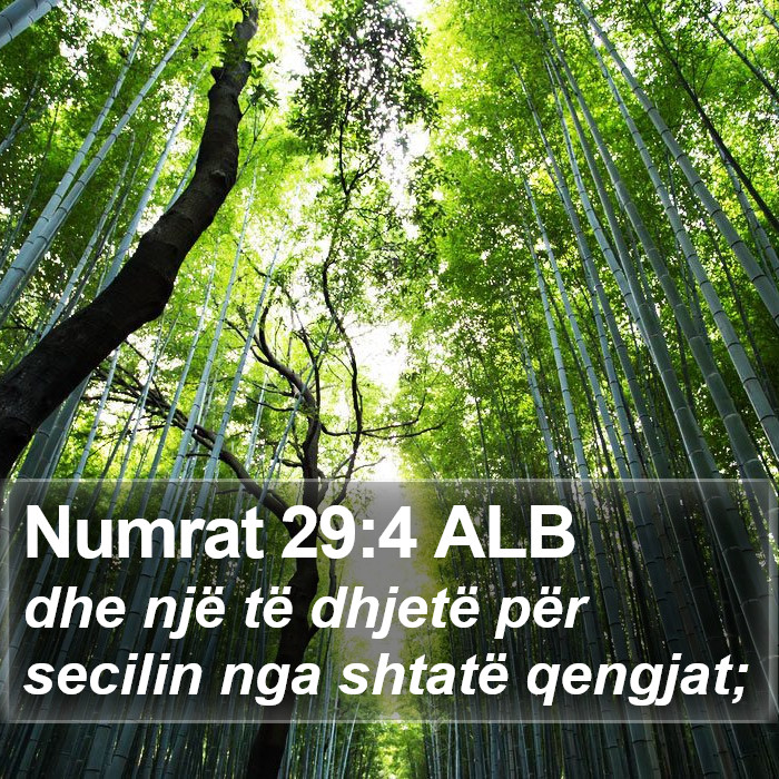 Numrat 29:4 ALB Bible Study