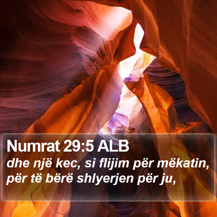 Numrat 29:5 ALB Bible Study