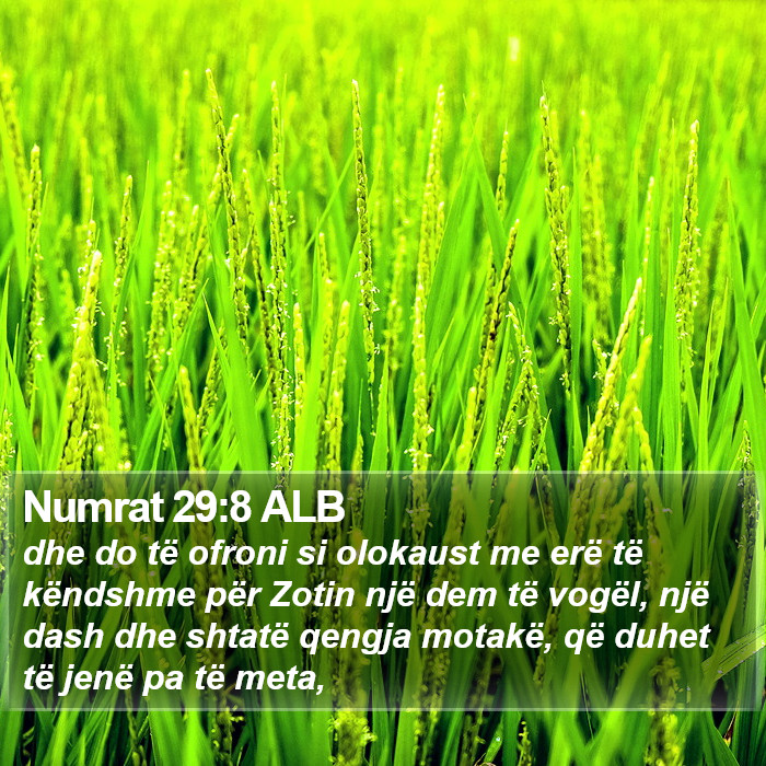 Numrat 29:8 ALB Bible Study