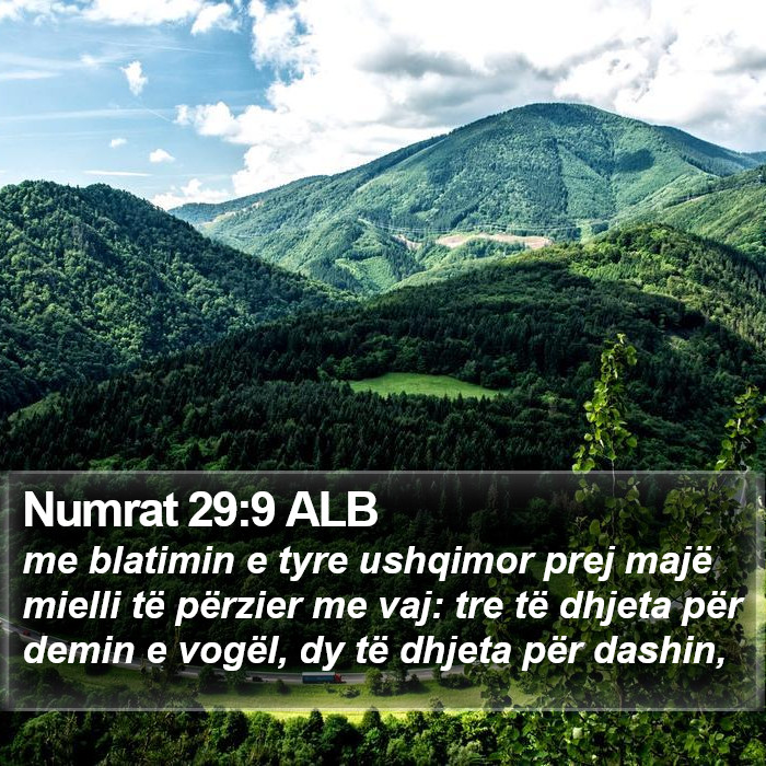 Numrat 29:9 ALB Bible Study