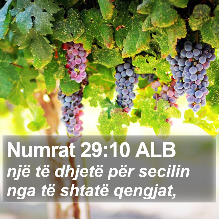 Numrat 29:10 ALB Bible Study