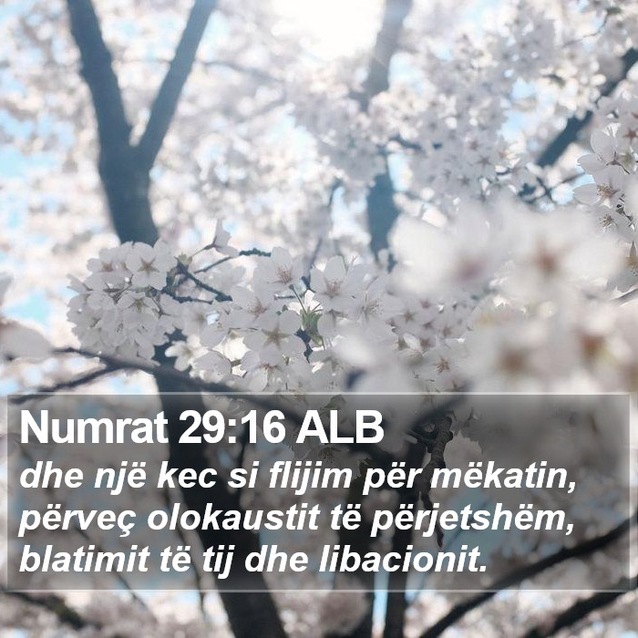 Numrat 29:16 ALB Bible Study