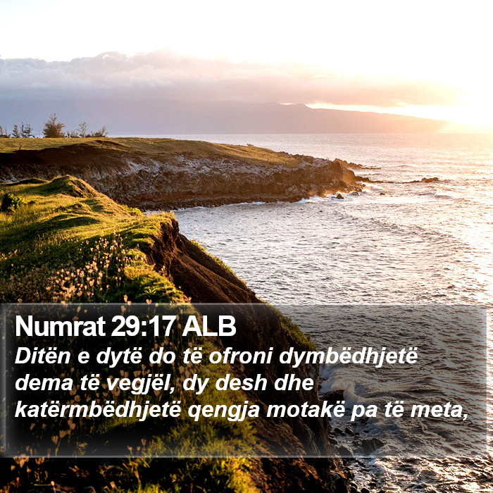 Numrat 29:17 ALB Bible Study