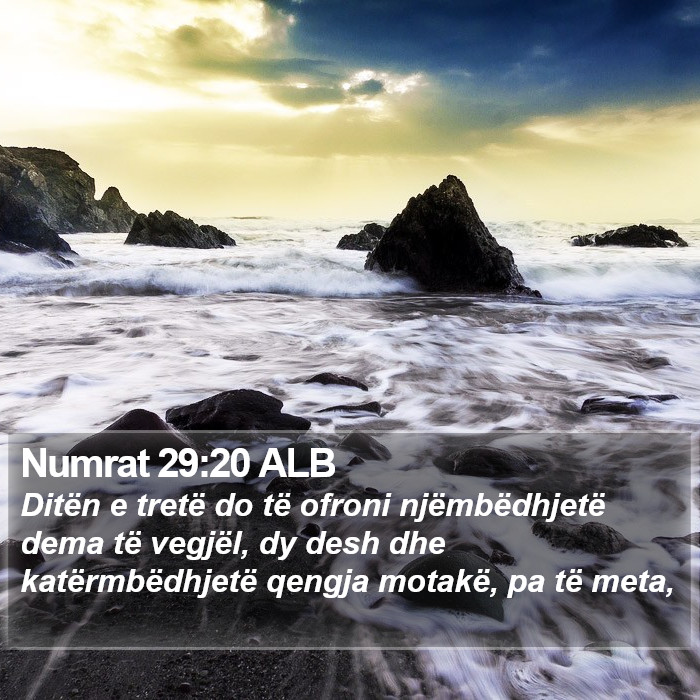 Numrat 29:20 ALB Bible Study