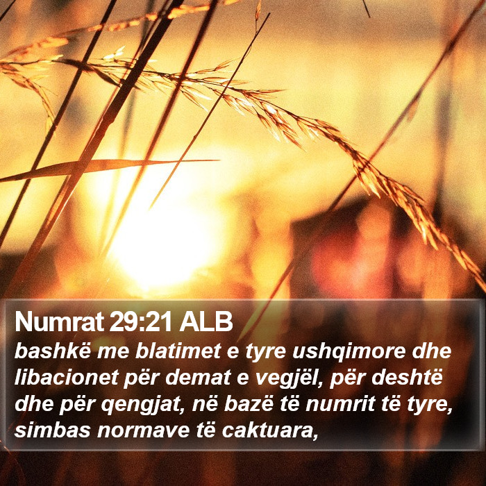 Numrat 29:21 ALB Bible Study