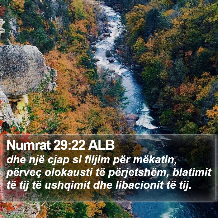 Numrat 29:22 ALB Bible Study