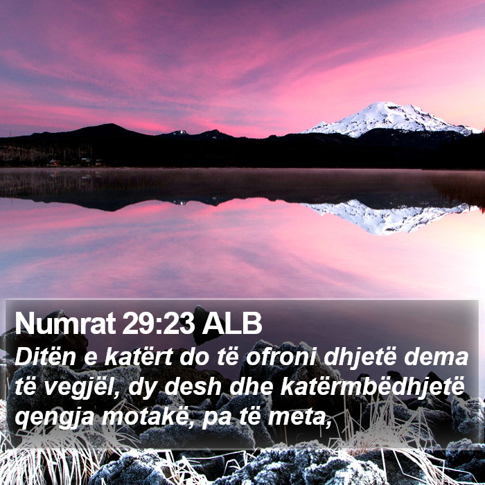 Numrat 29:23 ALB Bible Study