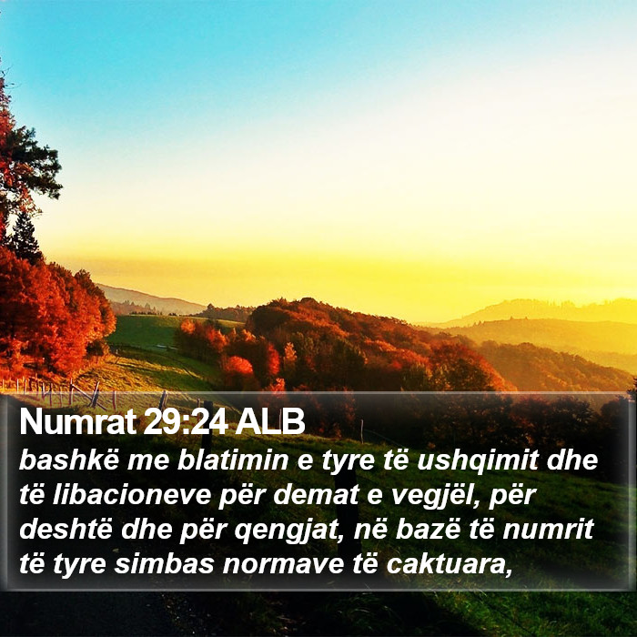 Numrat 29:24 ALB Bible Study