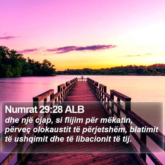 Numrat 29:28 ALB Bible Study