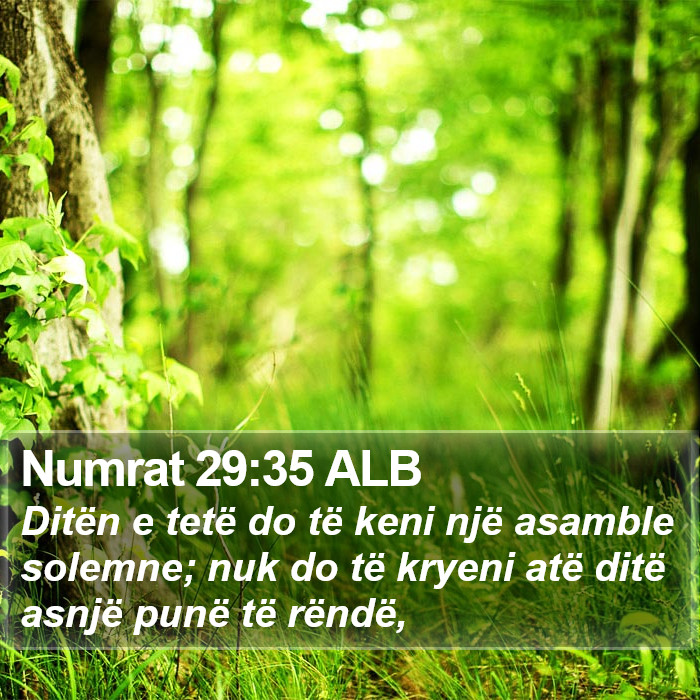 Numrat 29:35 ALB Bible Study