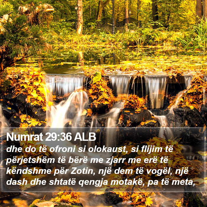 Numrat 29:36 ALB Bible Study