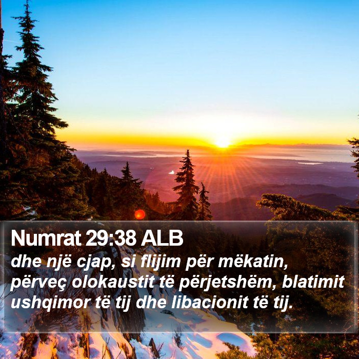 Numrat 29:38 ALB Bible Study