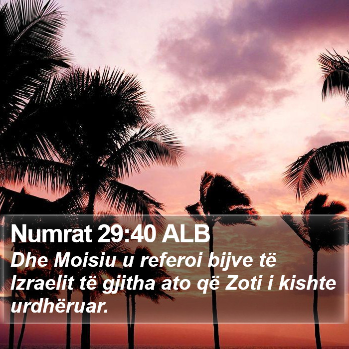 Numrat 29:40 ALB Bible Study