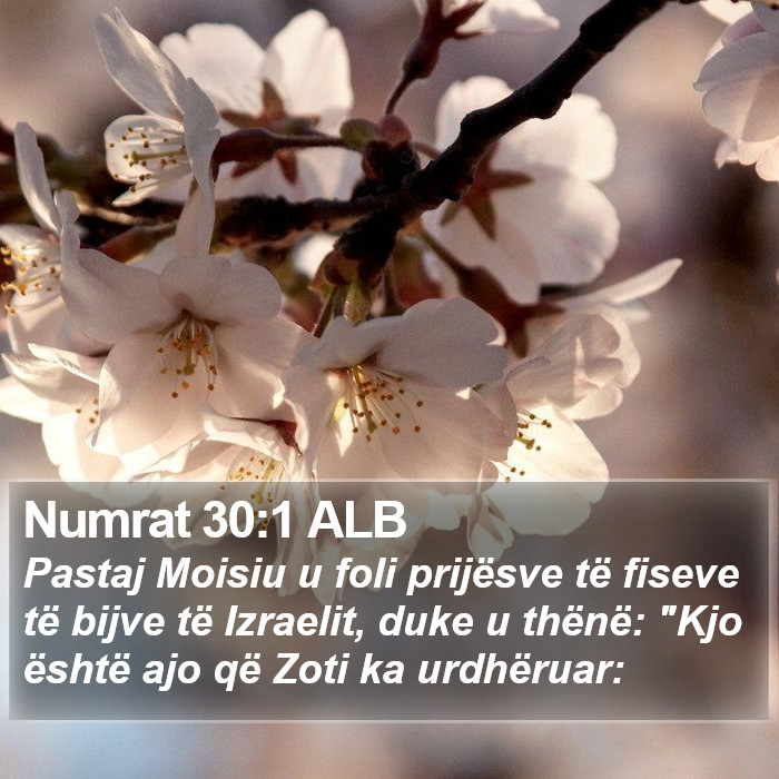 Numrat 30:1 ALB Bible Study