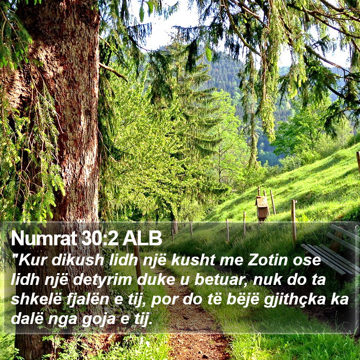 Numrat 30:2 ALB Bible Study