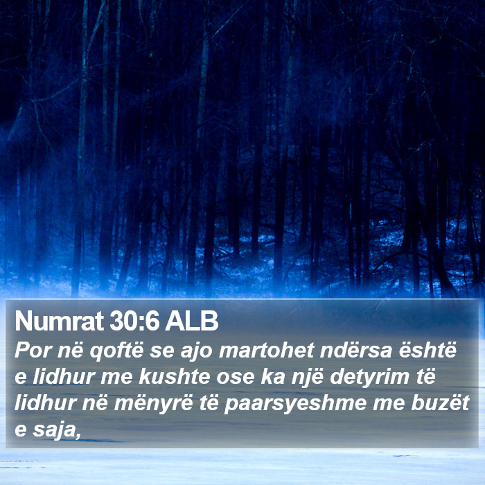 Numrat 30:6 ALB Bible Study