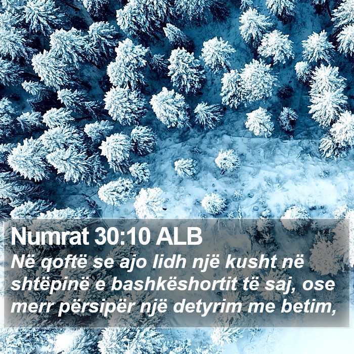 Numrat 30:10 ALB Bible Study