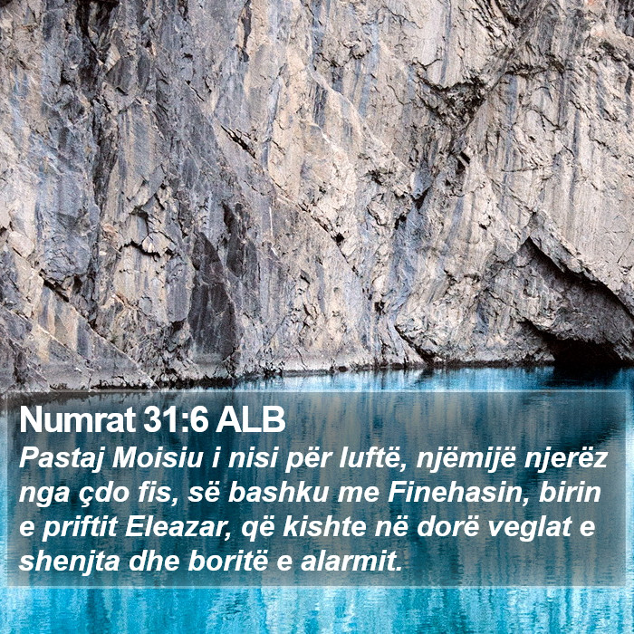 Numrat 31:6 ALB Bible Study