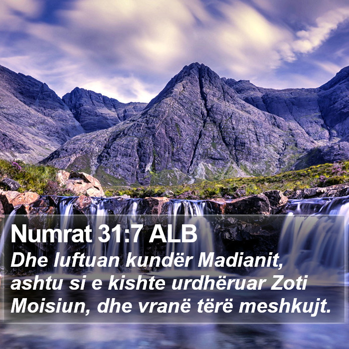 Numrat 31:7 ALB Bible Study