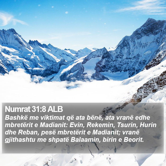 Numrat 31:8 ALB Bible Study