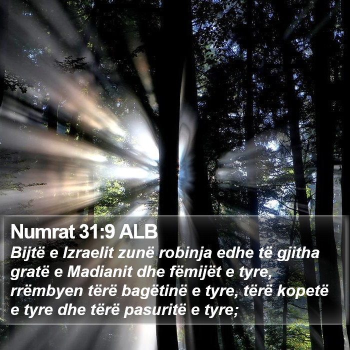 Numrat 31:9 ALB Bible Study