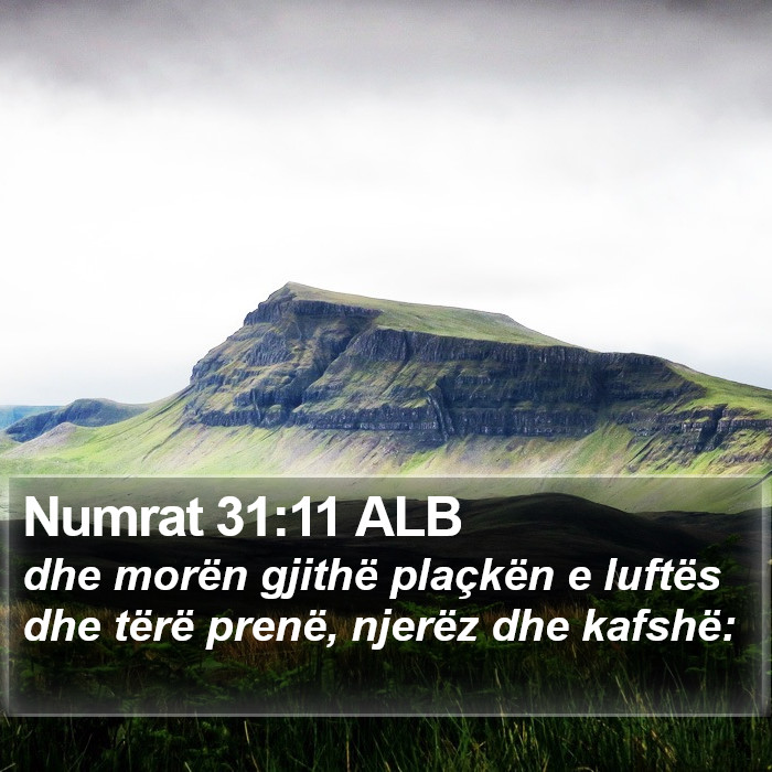 Numrat 31:11 ALB Bible Study
