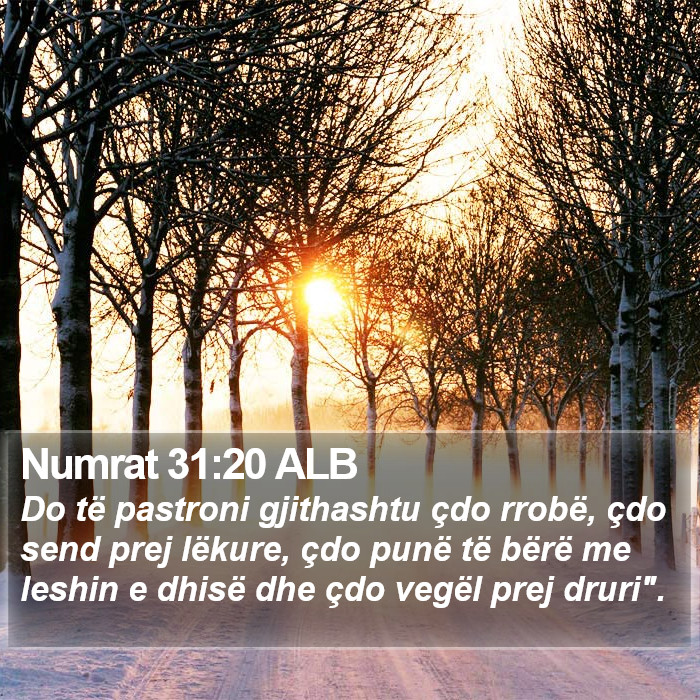 Numrat 31:20 ALB Bible Study