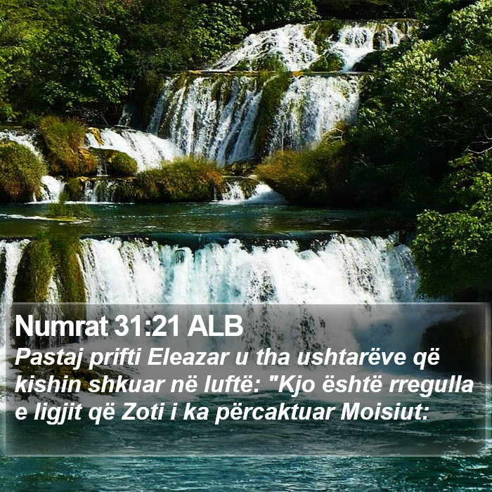 Numrat 31:21 ALB Bible Study