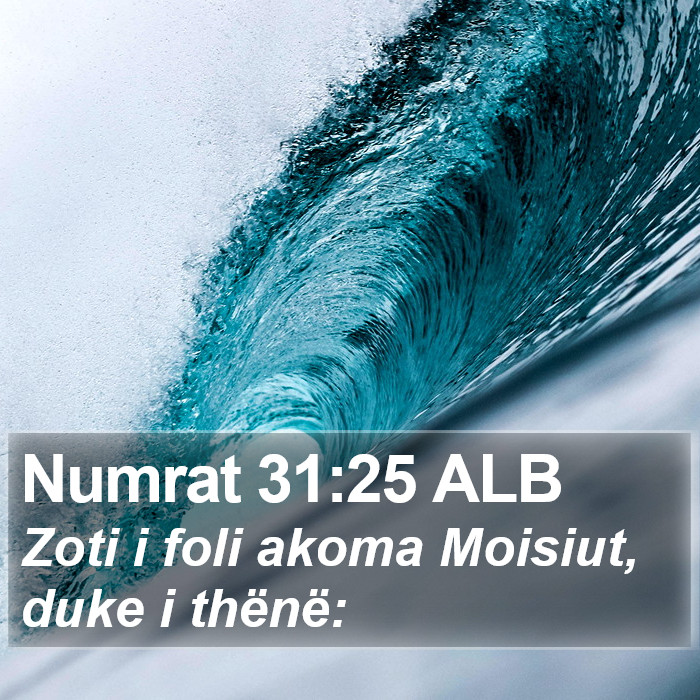 Numrat 31:25 ALB Bible Study