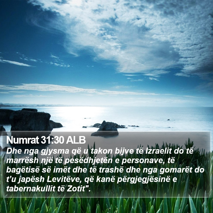 Numrat 31:30 ALB Bible Study