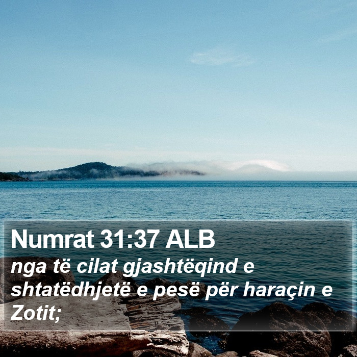 Numrat 31:37 ALB Bible Study