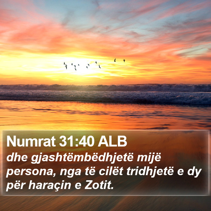 Numrat 31:40 ALB Bible Study