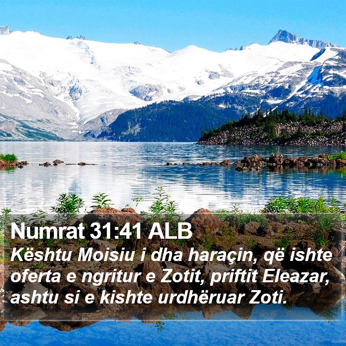 Numrat 31:41 ALB Bible Study