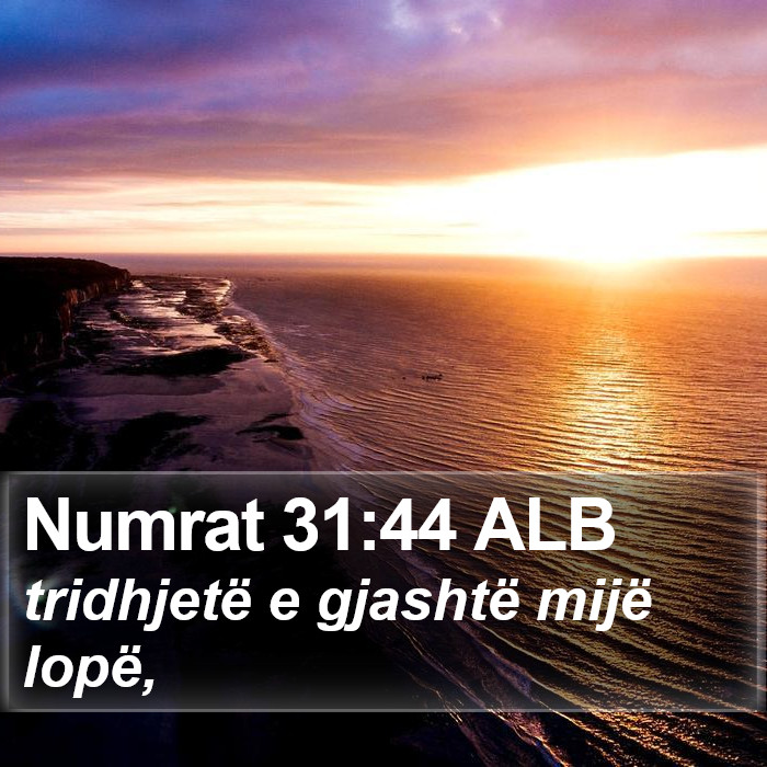 Numrat 31:44 ALB Bible Study